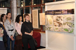 Вінничани можуть ознайомитись із проектами реконструкції острову Кемпа в галереї "ІнтерШик"