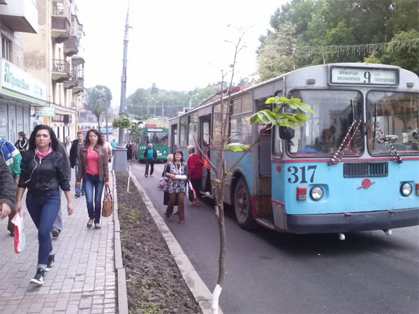 трамваї та тролейбуси стоять