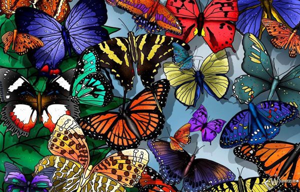 виставка тропічних метеликів