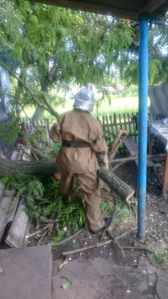 На Вінниччині через сильний вітер дерево впало на будинок старенької бабусі