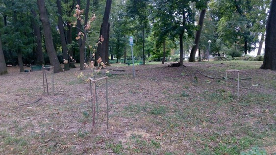 На Вінниччині розчистили та відновили два парки