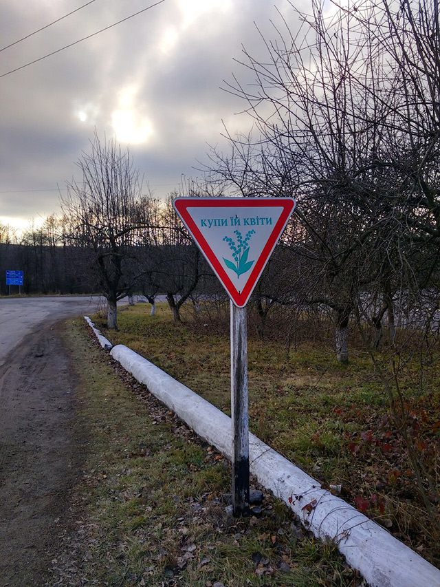 «Романтичні» дорожні знаки відволікають вінницьких водіїв