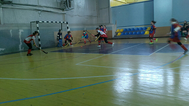 Минулого тижня у Вінниці відбувся чемпіонат України з хокею на траві у приміщенні