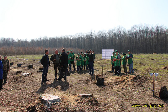 Посадовці Вінницької ОДА разом зі школярами висаджували ліс