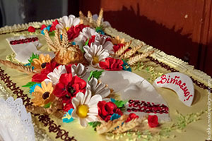 «ВінБенд» відсвяткував своє 7-річчя благодійним концертом в підтримку вінницьких батальйонів