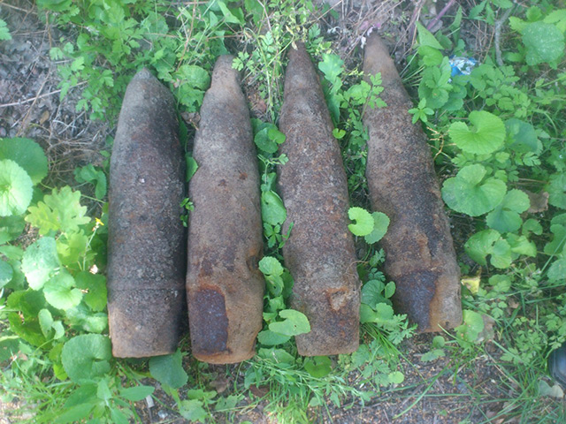 В Гніванському районі чоловік замість грибів у лісі знайшов 6 артснарядів
