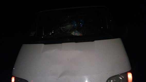 В Липовецькому районі п'яний водій мікроавтобуса збив жінку