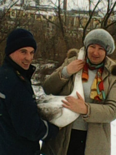 В Томашпільському районі бійці ДСНС врятували лебедя