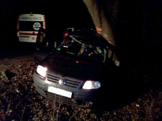 Неподалік Вінниці автомобіль врізався в дерево. Водій загинув, пасажир в лікарні