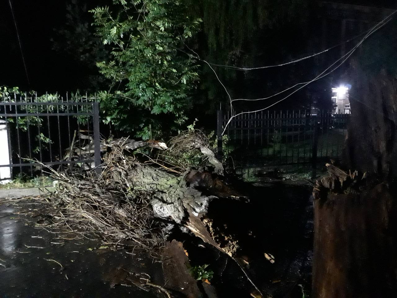 Зірвані дахи та повалені дерева: результат сильного пориву вітру на Вінниччині