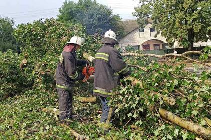 Вінницькі рятувальники відкачують воду з підтоплених будинків та прибирають повалені дерева