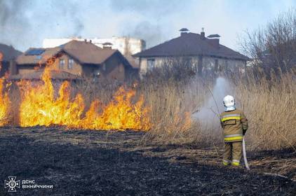 Пожежа на Вишенському озері: офіційні подробиці