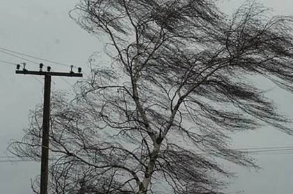 На Вінниччині не вщухає вітер: прогноз погоди на сьогодні