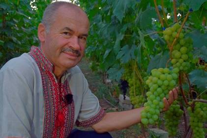 Справа всього життя: на Вінниччині чоловік вирощує майже 500 сортів винограду