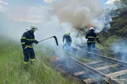 Рятувальники Вінниччини ліквідували 5 пожеж в природних екосистемах