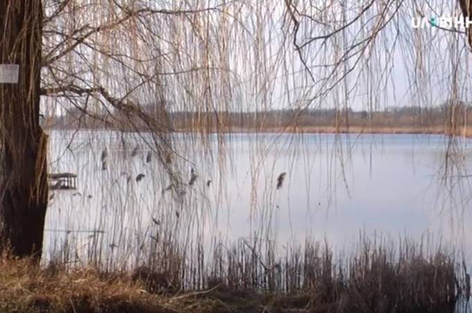 У Вінниці обговорювали, як рятувати Вишенське озеро