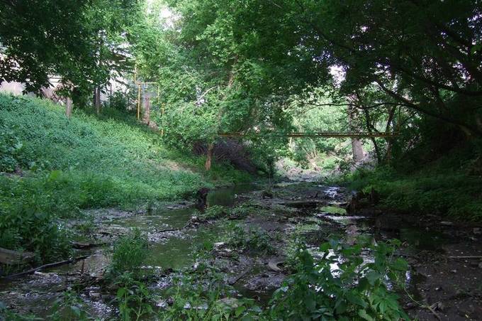 «Врятувати малу річку» закликають вінничан