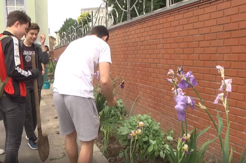 Замість повітряних кульок випускники 17-ї гімназії висадили квіти на подвір'ї школи