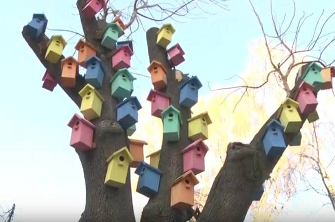 У Вінницькій школі №3 школярі виготовили різнокольоровий "гуртожиток" для птахів