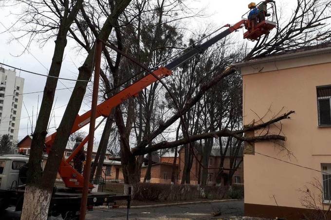 Сильний вітер повалив дерево на будівлю лікарні Пирогова