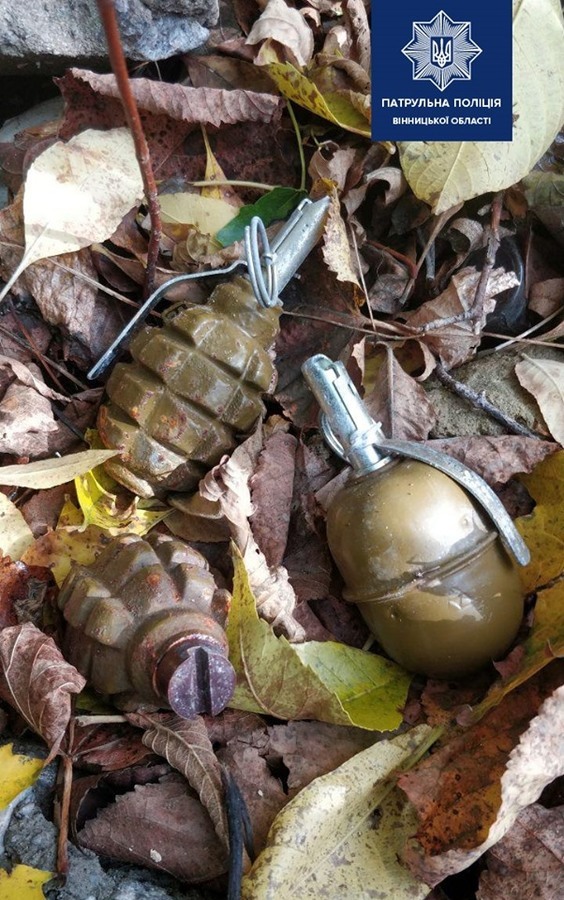 В парку Дружби народів виявили захований пакунок з боєприпасами