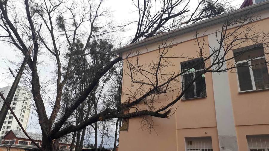 Сильний вітер повалив дерево на будівлю лікарні Пирогова