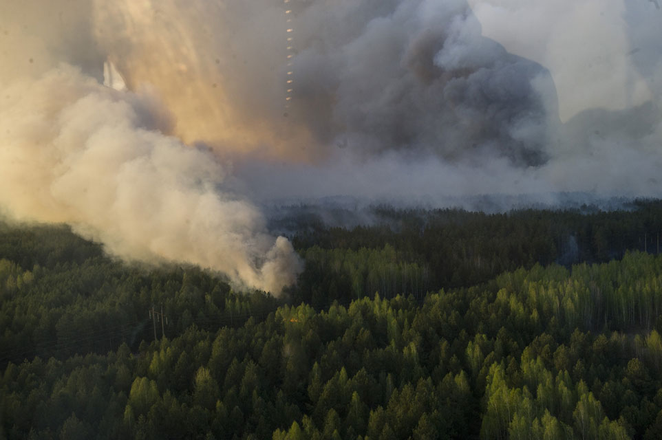 Пожежа у Чорнобильській пущі