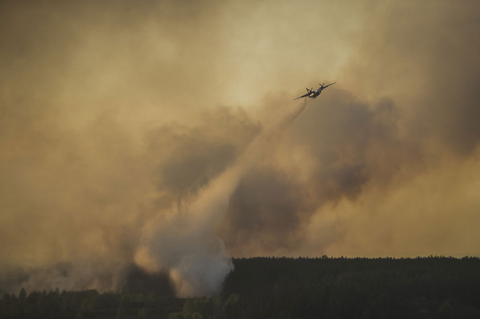 Пожежа у Чорнобильському лісі