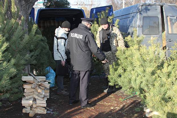 Вінницькі поліцейські проводять рейд, щоб попередити незаконну вирубку хвойних дерев