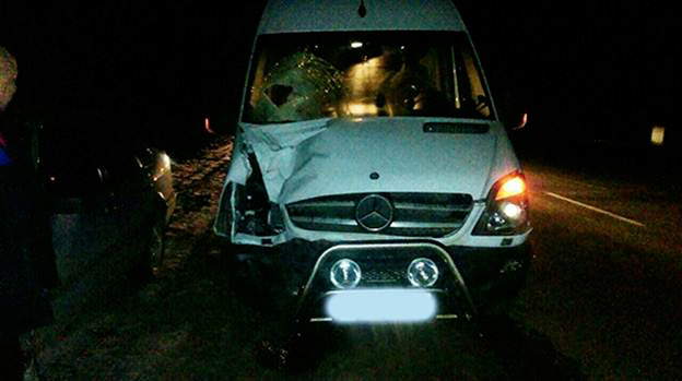 Неподалік Вінниці під колесами мікроавтобусу загинув пішохід