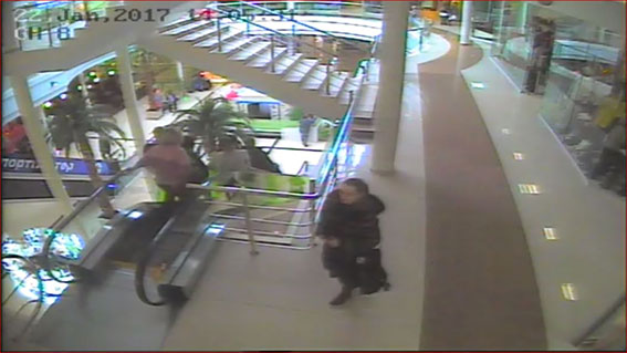 Поліція розшукує крадійку, яка поцупила з торгівельного центру сумку вартістю майже 6 тис. грн.
