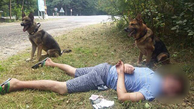 Неподалік Вінниці поліція, кінологи та службові собаки "прочісували" ліс, аби знайти грабіжника