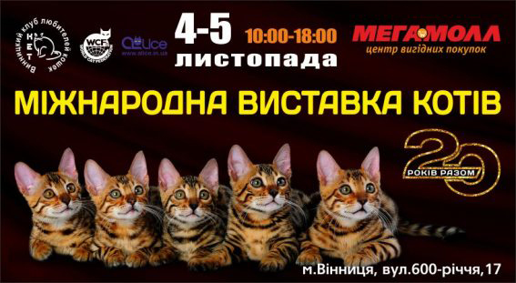 Міжнародна виставка котів у Мегамоллі
