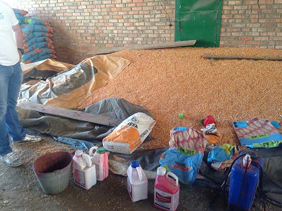 В Гайсинському районі правоохоронці виявили підпільний цех з виготовлення фальсифікованого насіння кукурудзи