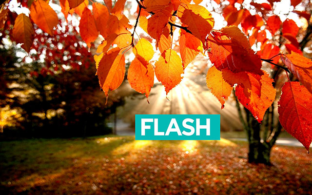 Запишися в школу англійської мови FLASH до 31 серпня, та законсервуйте для себе стару ціну!
