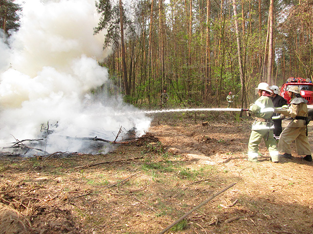 Вінницькі рятувальники разом із лісівниками провели спільні навчання з ліквідації лісової пожежі