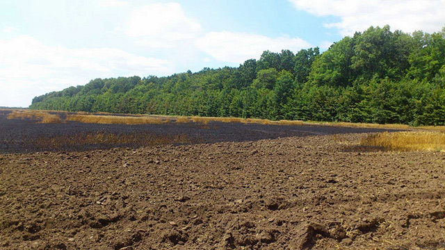 На Вінниччині пожежа на полі знищила майже 5 га пшениці