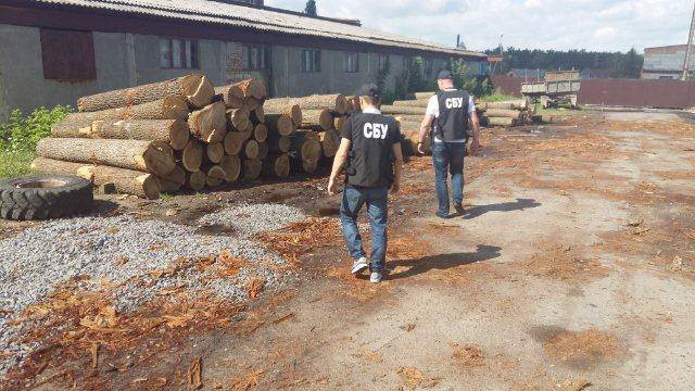 Працівники СБУ викрили нелегальний бізнес по масштабній вирубці дерев в лісгоспах Вінниччини