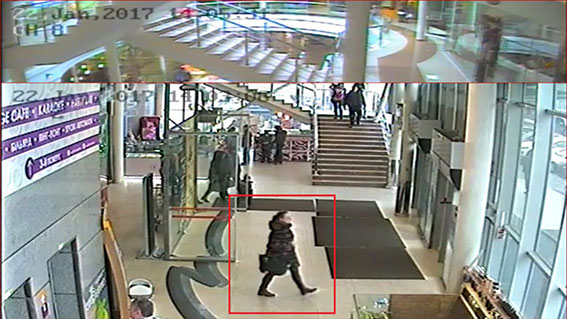 Поліція розшукує крадійку, яка поцупила з торгівельного центру сумку вартістю майже 6 тис. грн.