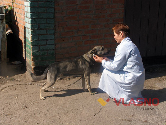 Життя ветеринарної фельдшерки з Вінниччини залежить від операції вартістю 100 тисяч гривень