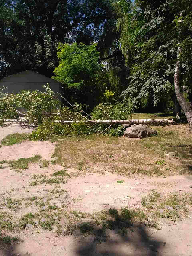 У Вінниці МНС-ники прибрали небезпечне напівповалене дерево