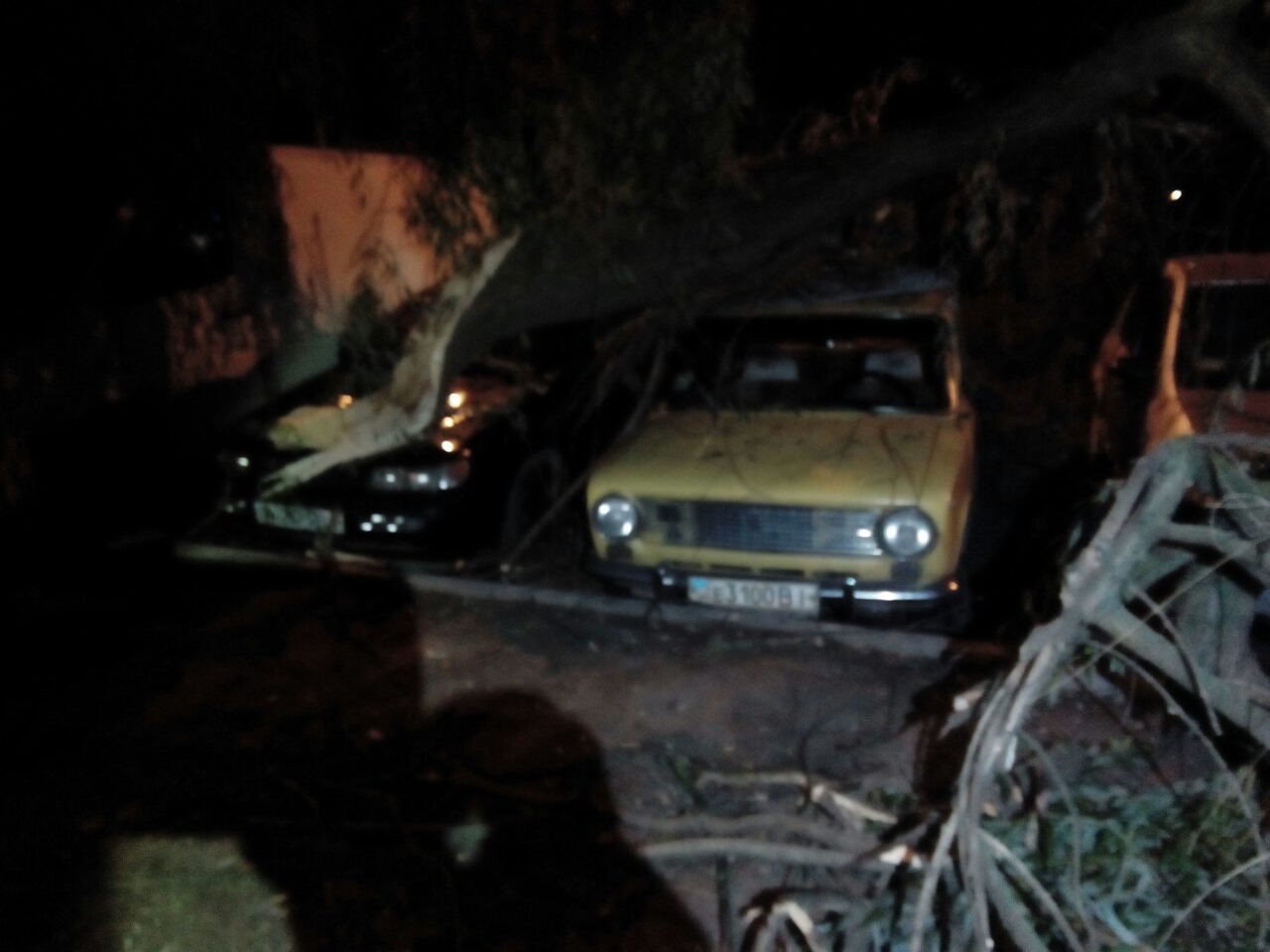 У Вінниці через негоду на авто впало дерево