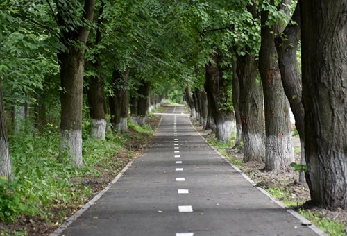 Велосипедна прогулянка Вінницею: подорожуємо містом без заторів