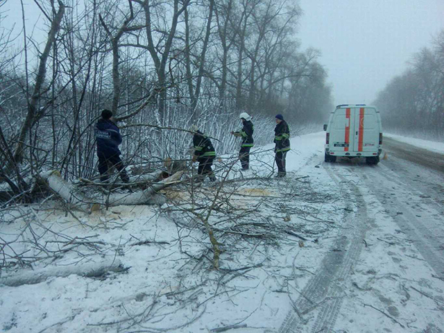 В Гайсинському районі через снігопад на "Газель" впало дерево