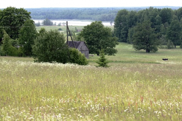 Життя європейців: Екологія в Латвії