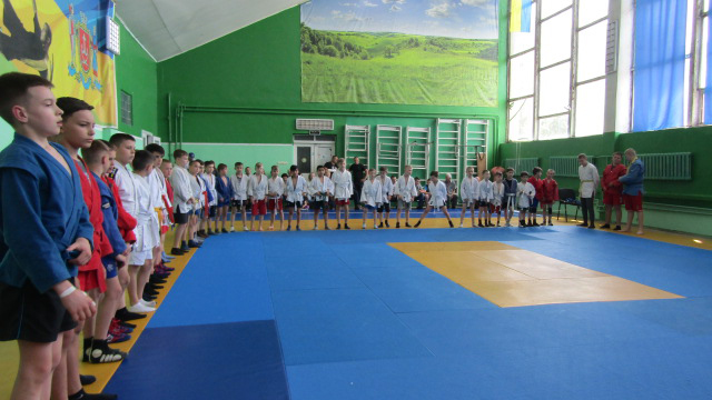 У Вінниці до Дня Європи відбувся чемпіонат з боротьби самбо