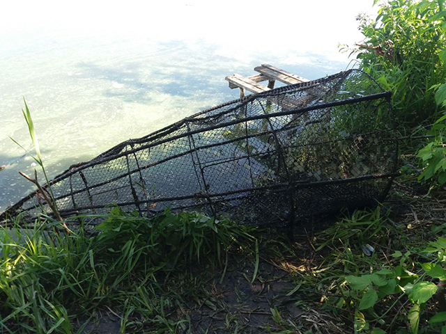 В травні представники Вінницького рибоохоронного патруля вилучили у порушників  184 кг риби