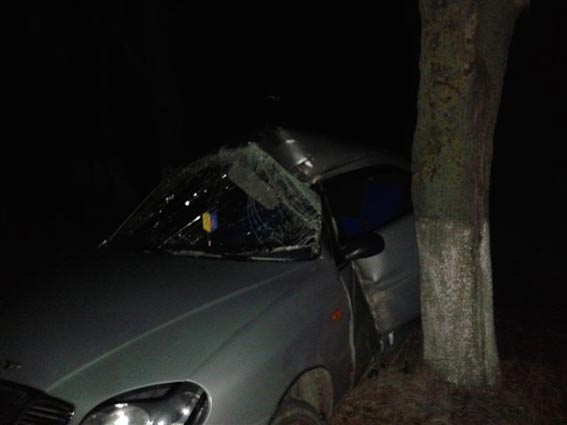 У Томашпільському районі водій Daewoo влетів у дерево