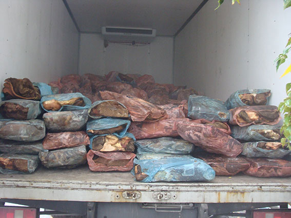 В Літинському районі працівники міліції зупинили вантажівку, водій якої перевозив 6 тонн шлунків тваринного походження.