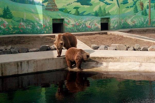 16 травня Подільський зоопарк відкриє двері після вимушених канікул